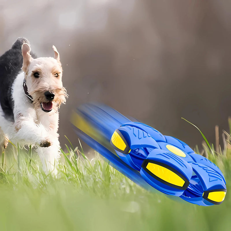 Brinquedo Voador para Cães com Função 2 em 1 - SkyHound