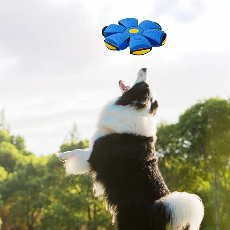 Brinquedo Voador para Cães com Função 2 em 1 - SkyHound